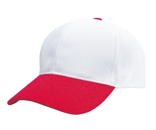 BZC  ۴® ΥǺ 6ѥͥ