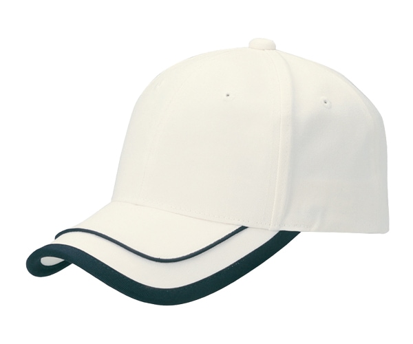 WF ���֥�ե졼��CAP 6�ѥͥ륭��å�