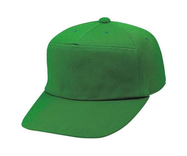 PSWNW ˥åȥ磻 5ѥͥ