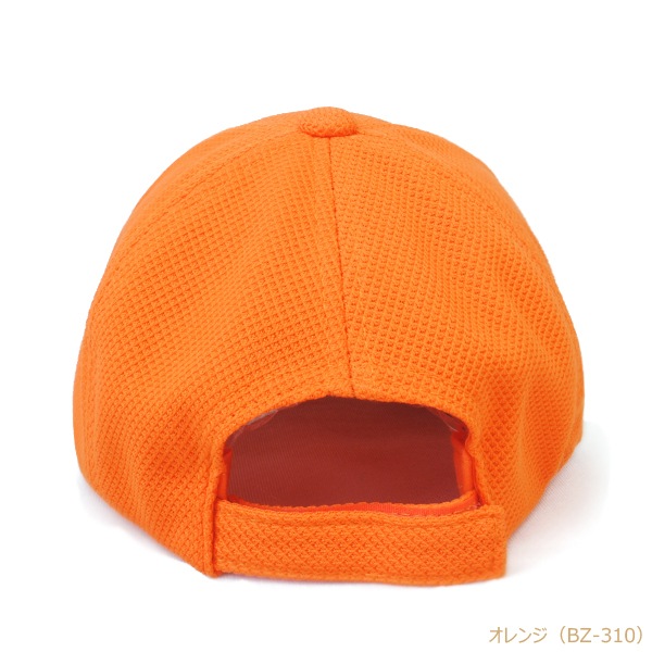 BZ �֥꡼�� �۴�®�����Υ��Ǻ� 6�ѥͥ륭��å�