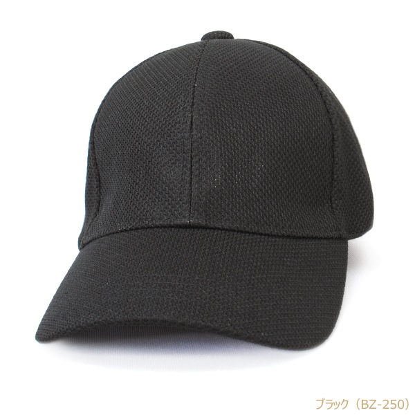 BZ �֥꡼�� �۴�®�����Υ��Ǻ� 6�ѥͥ륭��å�