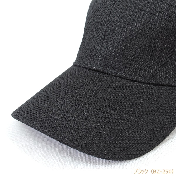 BZ �֥꡼�� �۴�®�����Υ��Ǻ� 6�ѥͥ륭��å�