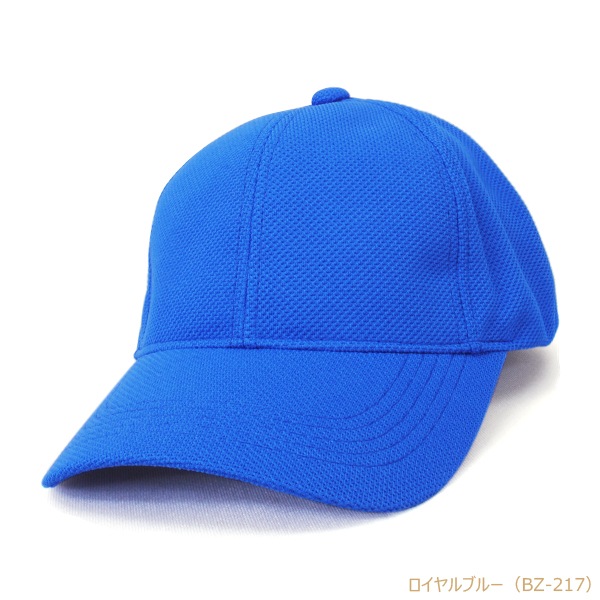 BZ �֥꡼�� �۴�®�����Υ��Ǻ� 6�ѥͥ륭��å�