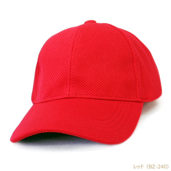 BZ �֥꡼�� �۴�®�����Υ��Ǻ� 6�ѥͥ륭��å�