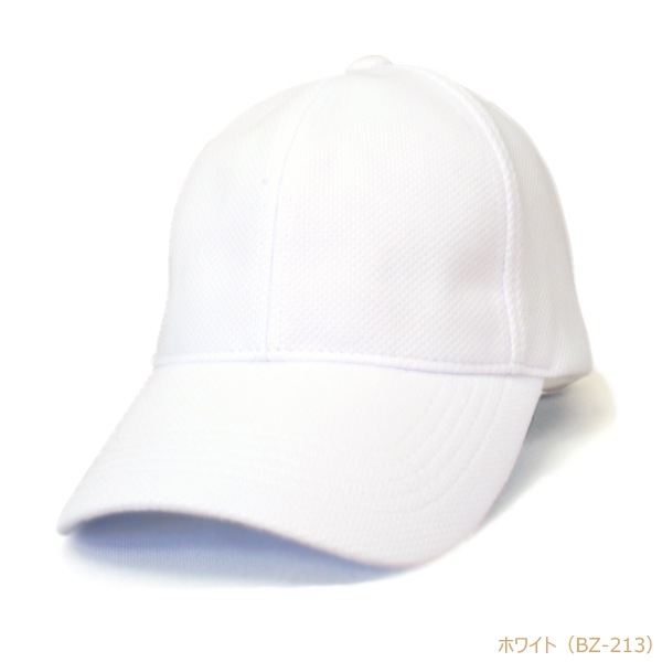 BZ �֥꡼�� �۴�®�����Υ��Ǻ� 6�ѥͥ륭��å�