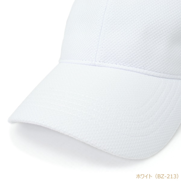 BZ �֥꡼�� �۴�®�����Υ��Ǻ� 6�ѥͥ륭��å�