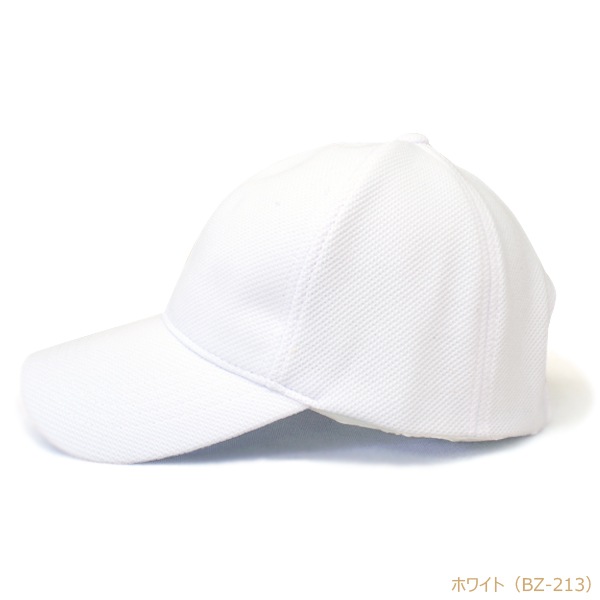 BZ �֥꡼�� �۴�®�����Υ��Ǻ� 6�ѥͥ륭��å�