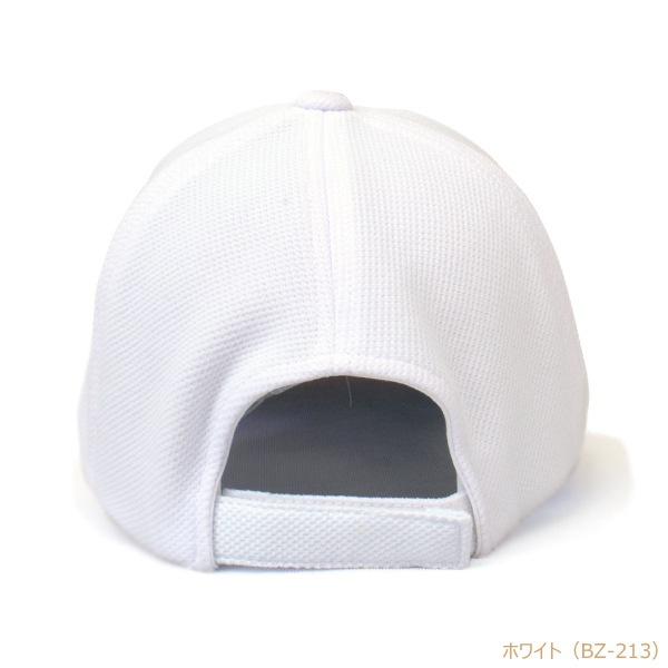 BZ �֥꡼�� �۴�®�����Υ��Ǻ� 6�ѥͥ륭��å�