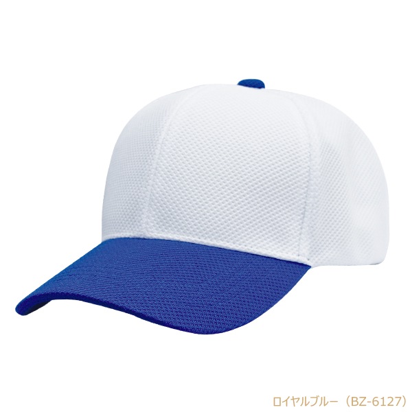 BZC ����� �۴�®�� ���Υ��Ǻ� 6�ѥͥ�