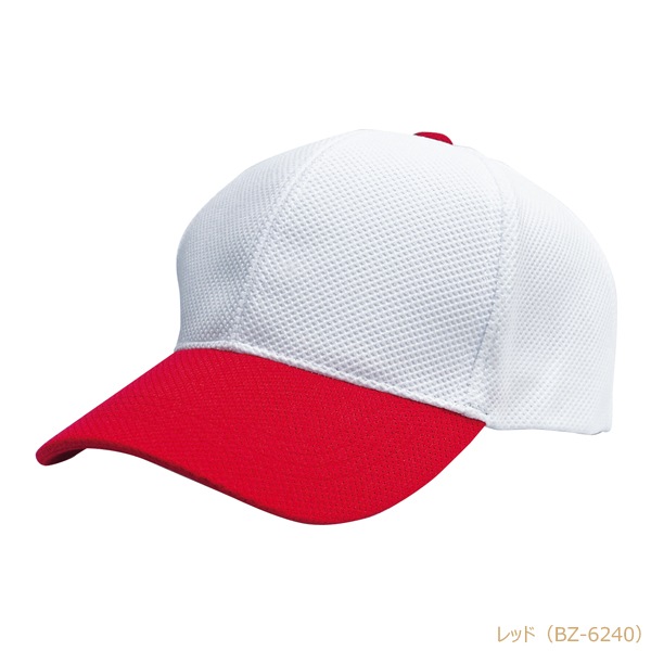 BZC ����� �۴�®�� ���Υ��Ǻ� 6�ѥͥ�