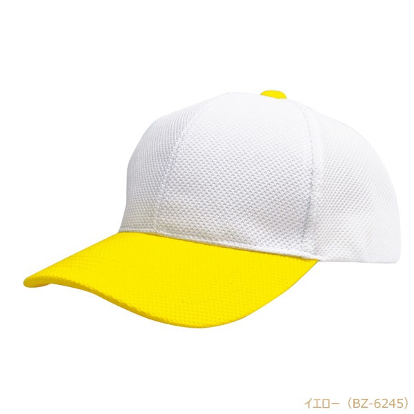 BZC ����� �۴�®�� ���Υ��Ǻ� 6�ѥͥ�