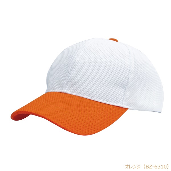 BZC ����� �۴�®�� ���Υ��Ǻ� 6�ѥͥ�