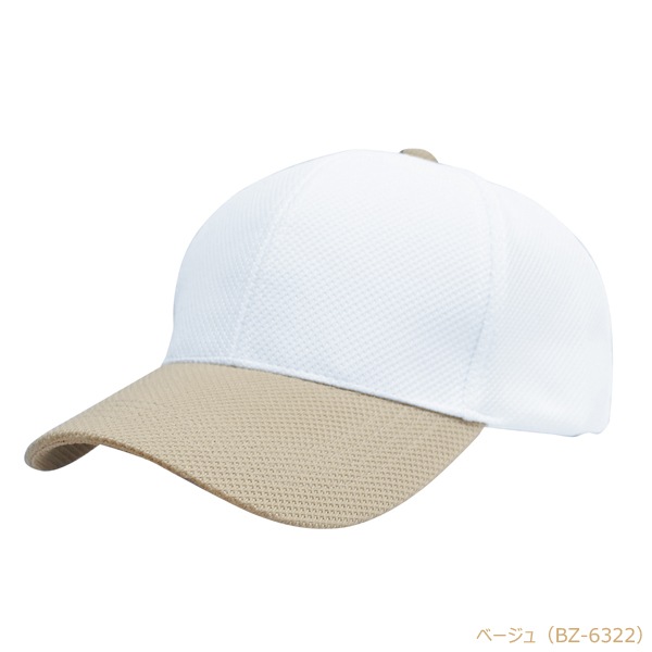 BZC ����� �۴�®�� ���Υ��Ǻ� 6�ѥͥ�