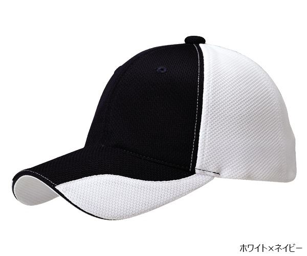 FC1 �ե��󥯥����CAP Ver.1 6�ѥͥ�