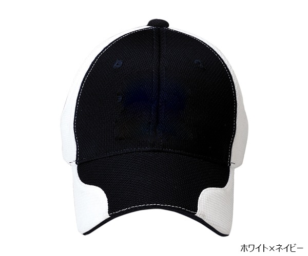 FC1 �ե��󥯥����CAP Ver.1 6�ѥͥ�