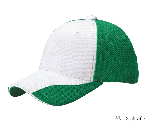 FC1 �ե��󥯥����CAP Ver.1 6�ѥͥ�