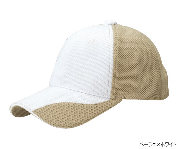 FC1 �ե��󥯥����CAP Ver.1 6�ѥͥ�