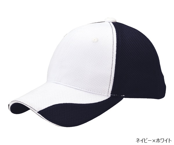 FC1 �ե��󥯥����CAP Ver.1 6�ѥͥ�