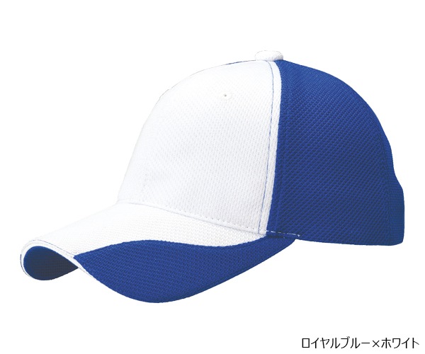 FC1 �ե��󥯥����CAP Ver.1 6�ѥͥ�