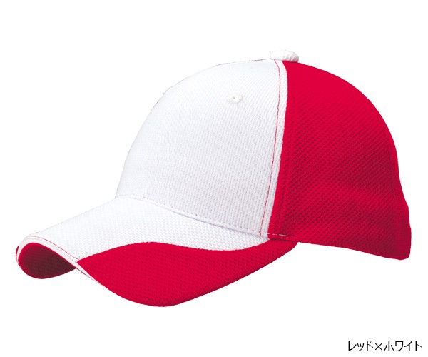 FC1 �ե��󥯥����CAP Ver.1 6�ѥͥ�