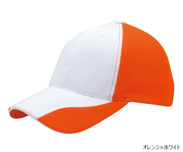 FC1 �ե��󥯥����CAP Ver.1 6�ѥͥ�