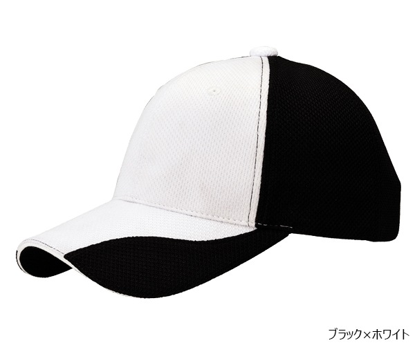 FC1 �ե��󥯥����CAP Ver.1 6�ѥͥ�