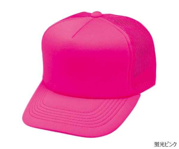 NCM ����ꥫ��ͥ���CAP 5�ѥͥ�