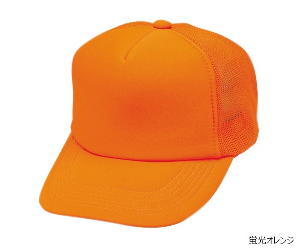 NCM ����ꥫ��ͥ���CAP 5�ѥͥ�