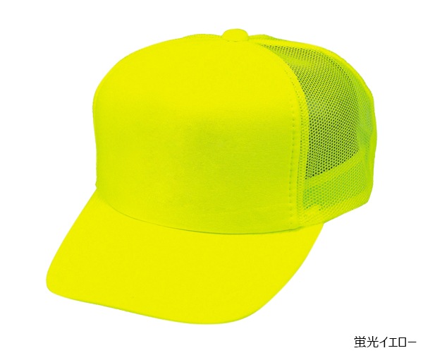NCM ����ꥫ��ͥ���CAP 5�ѥͥ�