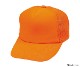 NCM ����ꥫ��ͥ���CAP 5�ѥͥ�