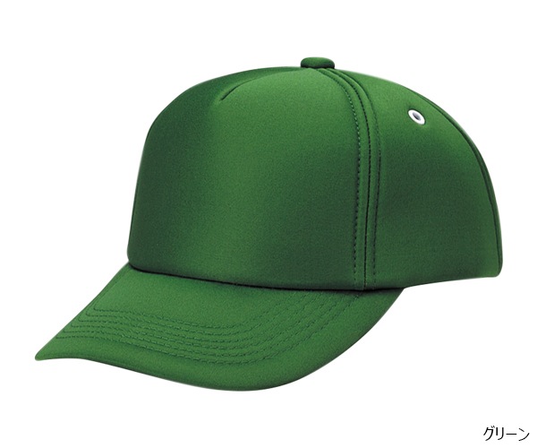 AM �ե륹�ݥ�CAP 5�ѥͥ�
