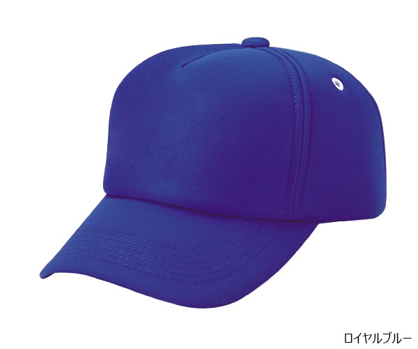 AM �ե륹�ݥ�CAP 5�ѥͥ�