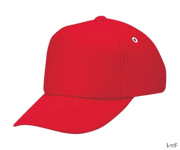 AM �ե륹�ݥ�CAP 5�ѥͥ�