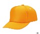 AM �ե륹�ݥ�CAP 5�ѥͥ�