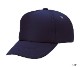 AM �ե륹�ݥ�CAP 5�ѥͥ�