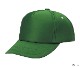 AM �ե륹�ݥ�CAP 5�ѥͥ�