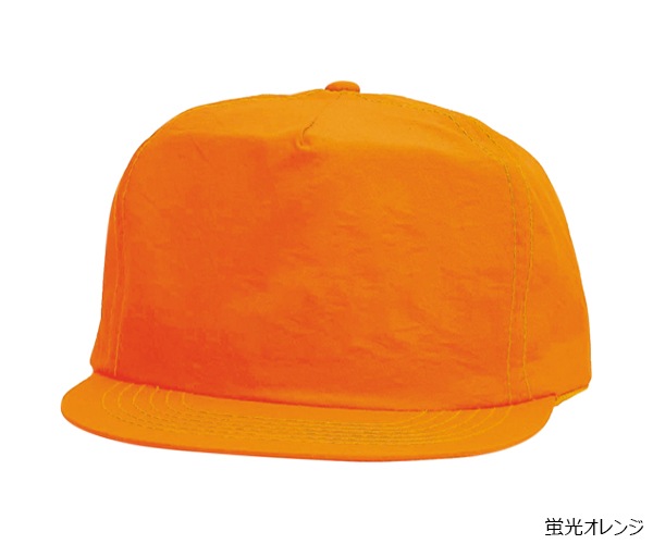 FL �ե����� �ʥ����� CAP 5�ѥͥ�