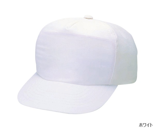 FL �ե����� �ʥ����� CAP 5�ѥͥ�