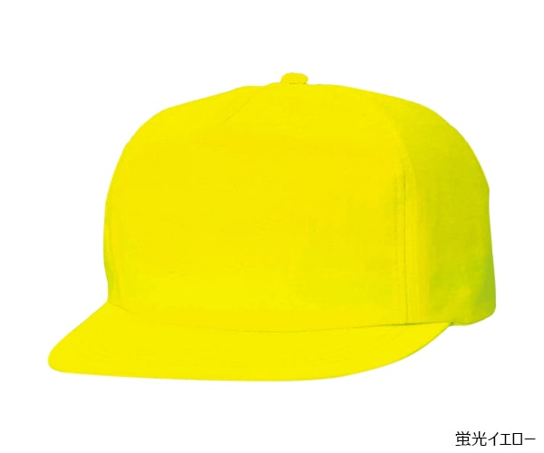 FL �ե����� �ʥ����� CAP 5�ѥͥ�