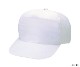 FL �ե����� �ʥ����� CAP 5�ѥͥ�