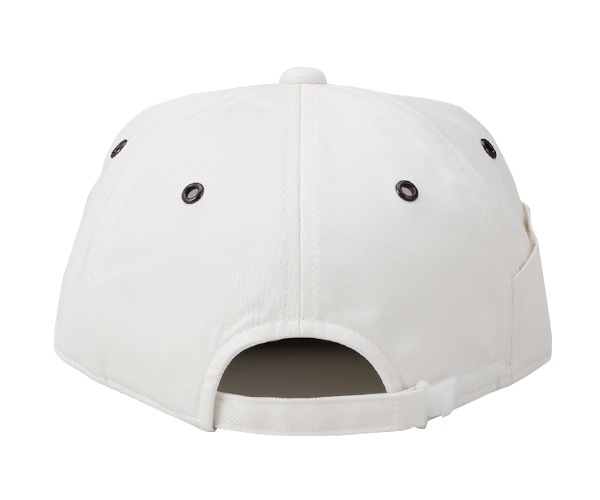 DG �ǥ�å��������CAP