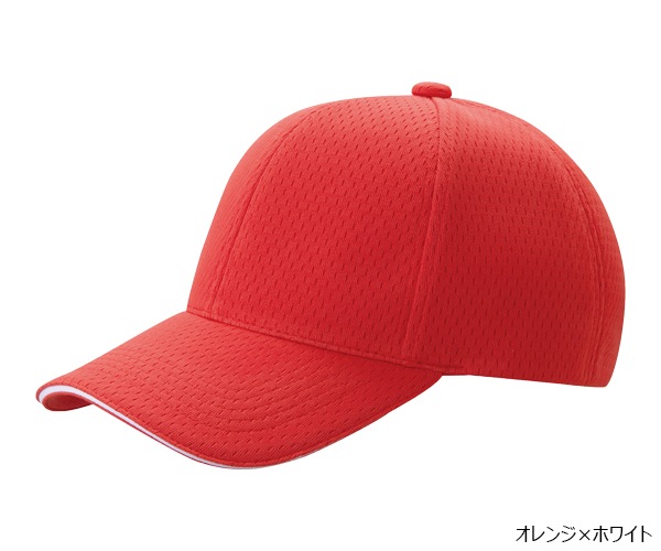 PSWLM 6�ѥͥ� �饤�ȥ�å��奭��å�