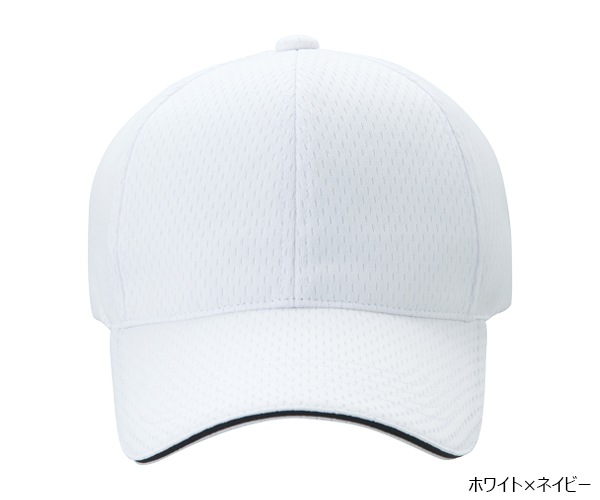 PSWLM 6�ѥͥ� �饤�ȥ�å��奭��å�