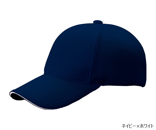 PSWLM 6�ѥͥ� �饤�ȥ�å��奭��å�