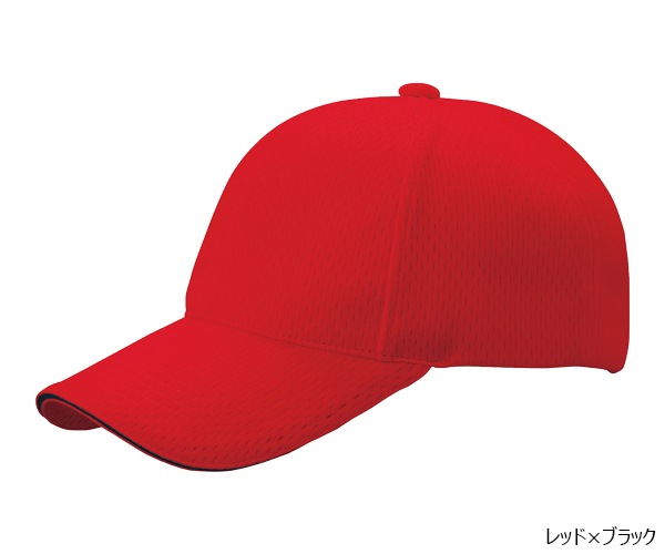 PSWLM 6�ѥͥ� �饤�ȥ�å��奭��å�