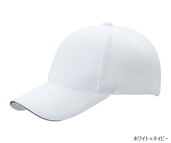 PSWLM 6�ѥͥ� �饤�ȥ�å��奭��å�