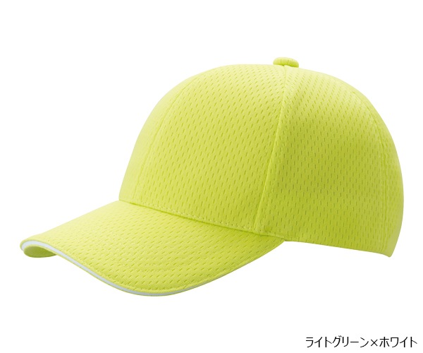 PSWLM 6�ѥͥ� �饤�ȥ�å��奭��å�