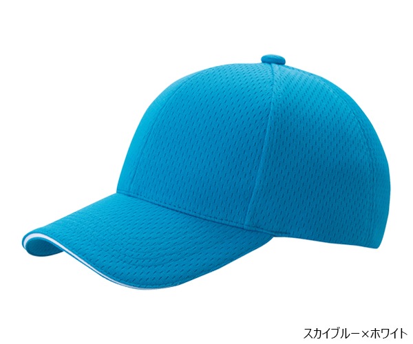 PSWLM 6�ѥͥ� �饤�ȥ�å��奭��å�