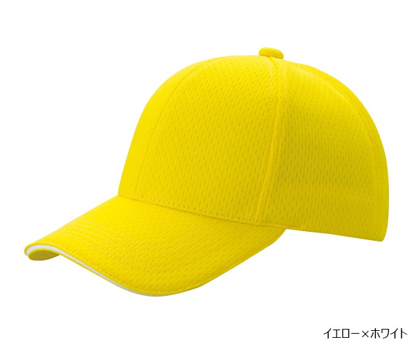 PSWLM 6�ѥͥ� �饤�ȥ�å��奭��å�