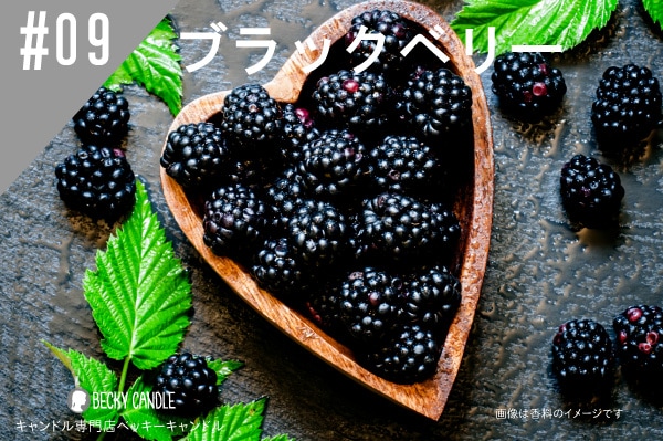 ＊＊ブラックベリー　ル・クルーゼ＊＊美品　ベリーシリーズ　希少　入手困難 ◇【香料】#09 ブラックベリー/Blackbery
